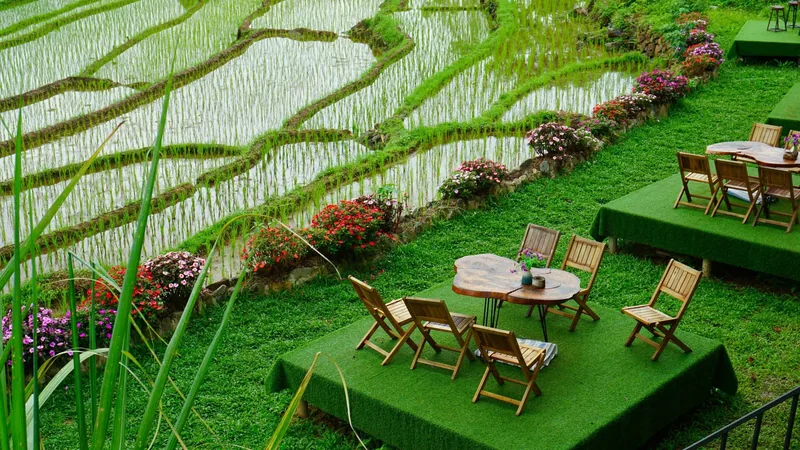 Bàn ghế ngoài trời trên sân cỏ nhìn ra ruộng bậc thang ngập nước ở Pù Luông