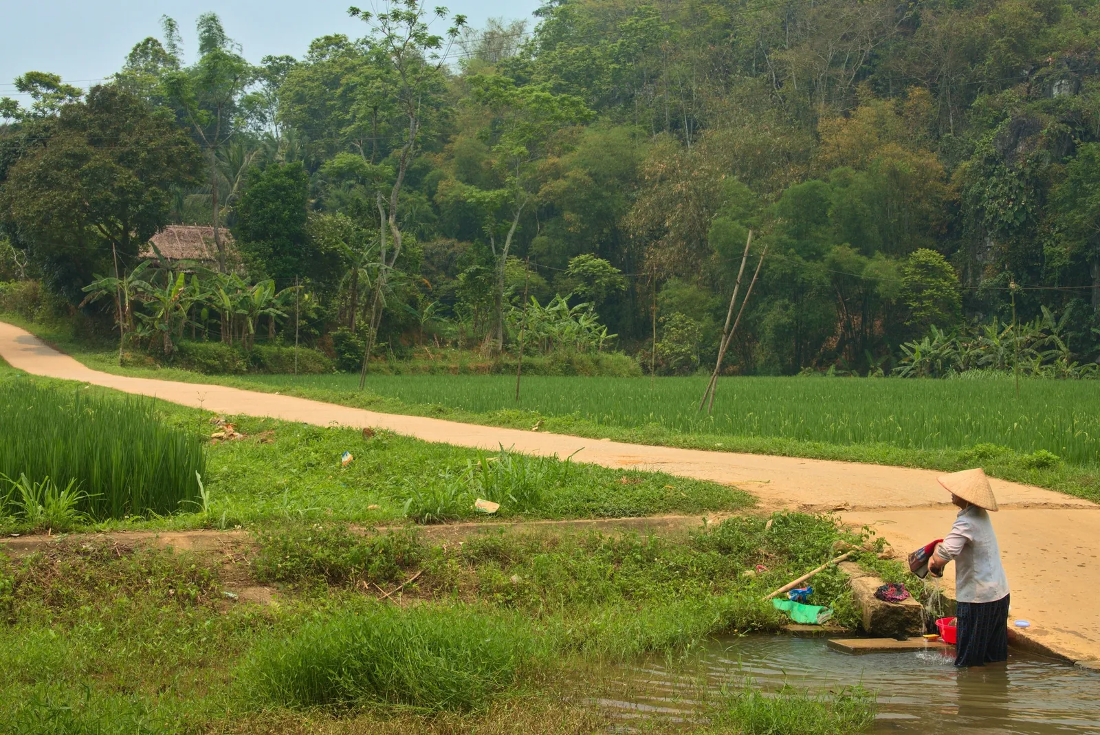 Người phụ nữ đội nón lá giặt đồ bên suối cạnh con đường ruộng lúa ở Pù Luông.
