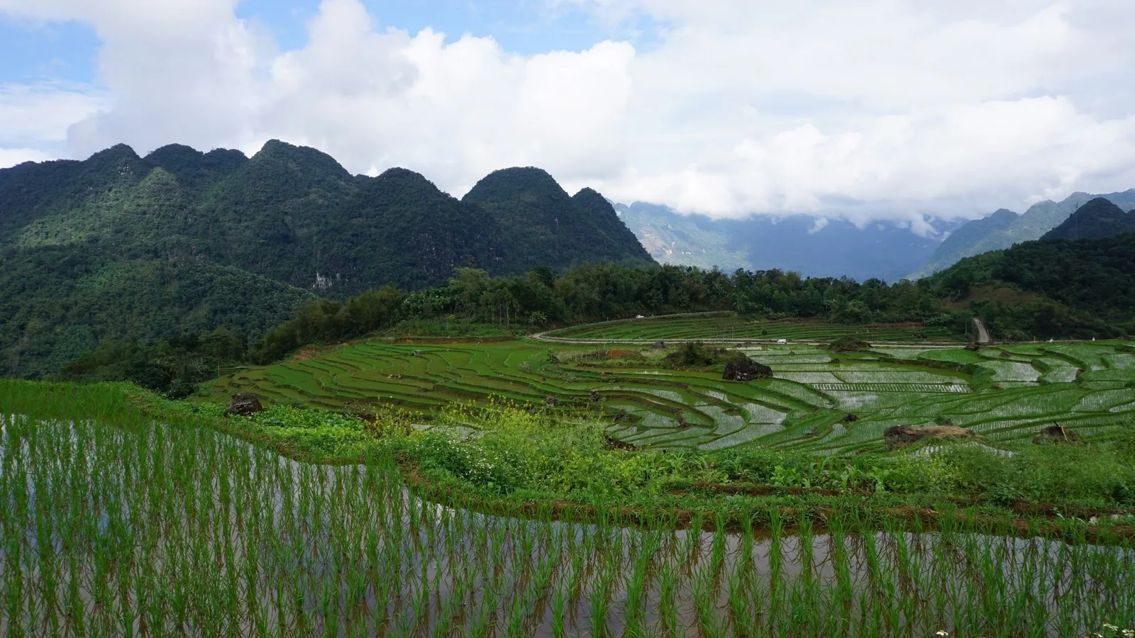 Ruộng bậc thang ngập nước trải khắp thung lũng dưới những đỉnh núi đá vôi ở Pù Luông.