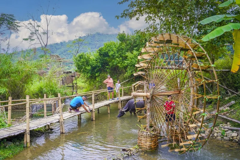 Du khách qua cầu tre ngắm cọn nước và trâu tắm suối tại Pù Luông, Thanh Hóa.