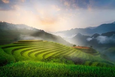 Những thửa ruộng bậc thang xanh mướt trải xuống sườn núi mờ sương lúc bình minh ở Pù Luông.