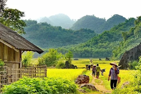 Người dân đi trên con đường đất qua ruộng lúa dưới chân núi đá vôi ở Pù Luông, Việt Nam.